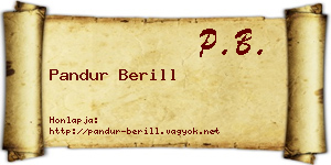 Pandur Berill névjegykártya
